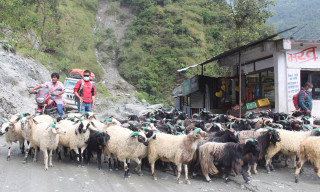 दसैँलाई ल्याइँदै च्याङ्ग्रा