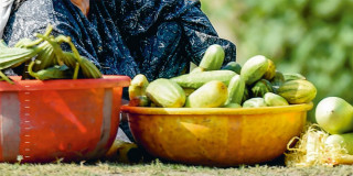 हङ्गर इन्डेक्स- नेपालको स्कोरमा सुधार, र्‍यांकिङ खस्कियो 