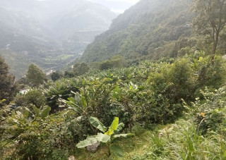 सातौं कृषि गणना भोलिदेखिः परिणाम आउन ५० दिन लाग्ने