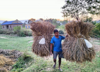 कर्णालीमा खाद्यका लागि कृषि अभियान