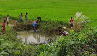 माछामा आत्मनिर्भर हुँदै दाङ