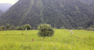 किसानको प्रश्न : अनुदानको अनुगमन हुँदैन र?