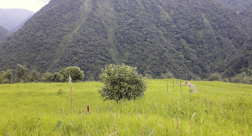 किसानको प्रश्न : अनुदानको अनुगमन हुँदैन र?