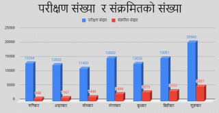 कुल परीक्षणको २४.४७ प्रतिशतमा कोरोना