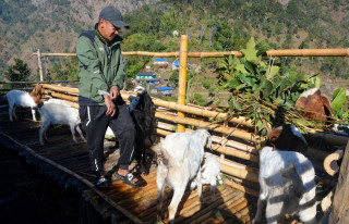 १० वर्ष रित्तिएको घर फर्केर मेहनत गर्दै  कुशल