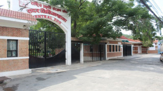 एक वर्षसम्म बाघलगायत जनावर र चराचुरुंगीलाई आहार खुवाउँदै टेलिकम