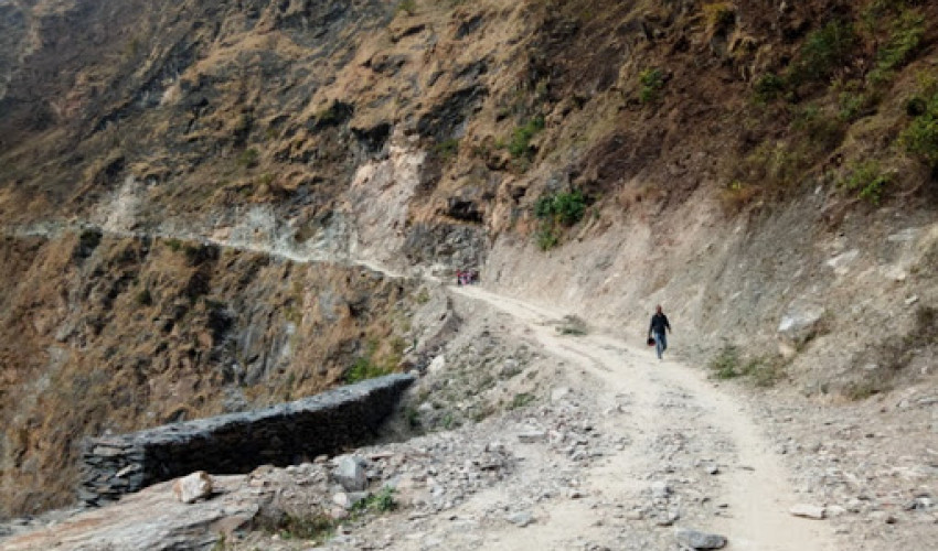 महाकाली करिडोरमा रुख कटान नहुँदा काम प्रभावित