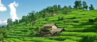 गाउँबाट युवा पलायन रोक्न ‘कृषि पर्यटन विकास’