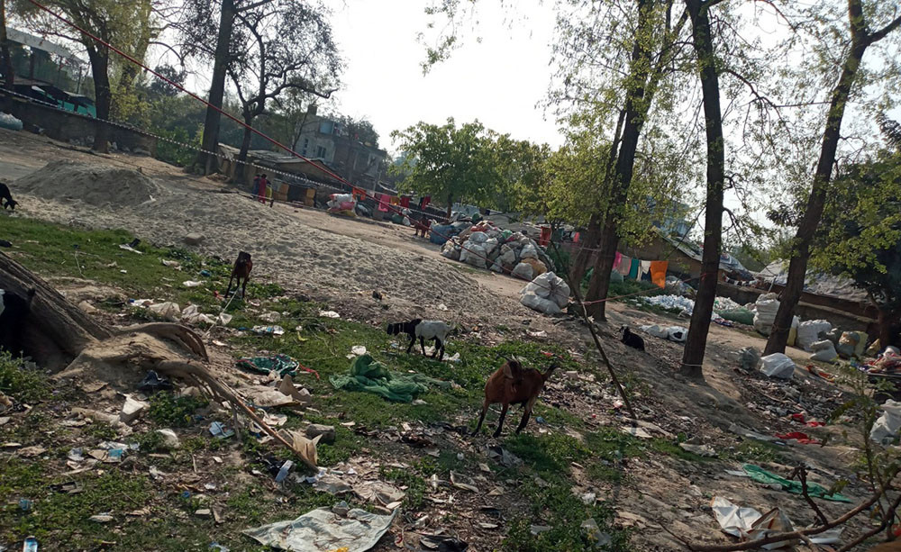 सरकारी जग्गा भाडामा दिने कार्यनीति जारी, सट्टापट्टा र बिक्री गर्नदेखि धितोबन्धकमा दिन नपाइने