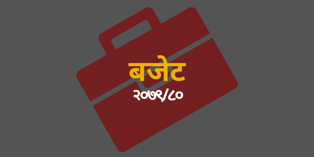 ग्रामीण सडकमा गुड्ने गाडीको भन्सार घटाउन व्यवसायीको माग