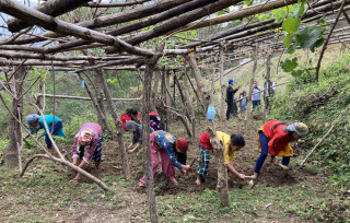 किबी खेतीमार्फत विद्यालयमा व्यावहारिक ज्ञान
