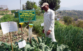 युवालाई स्वरोजगार अनुदान