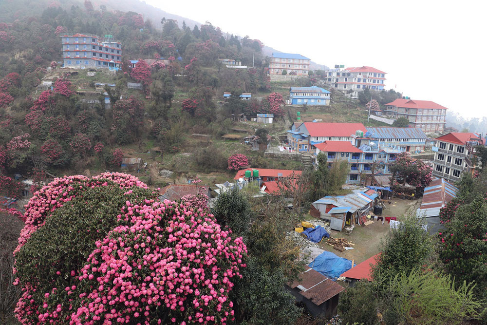 पुरानो पदमार्गलाई बचाउँदै सडक स्तरोन्नति