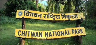 सरकारले ल्यायो वन्यजन्तुमैत्री पूर्वाधार निर्माण निर्देशिका