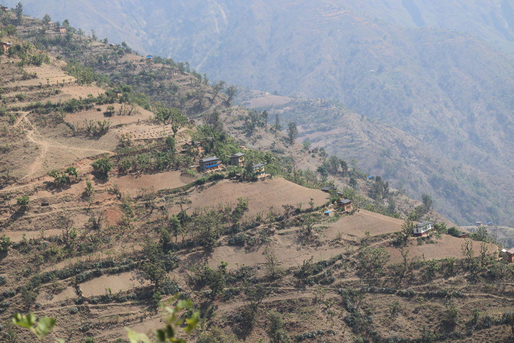 पानी नपर्दा मकै रोप्न समस्या