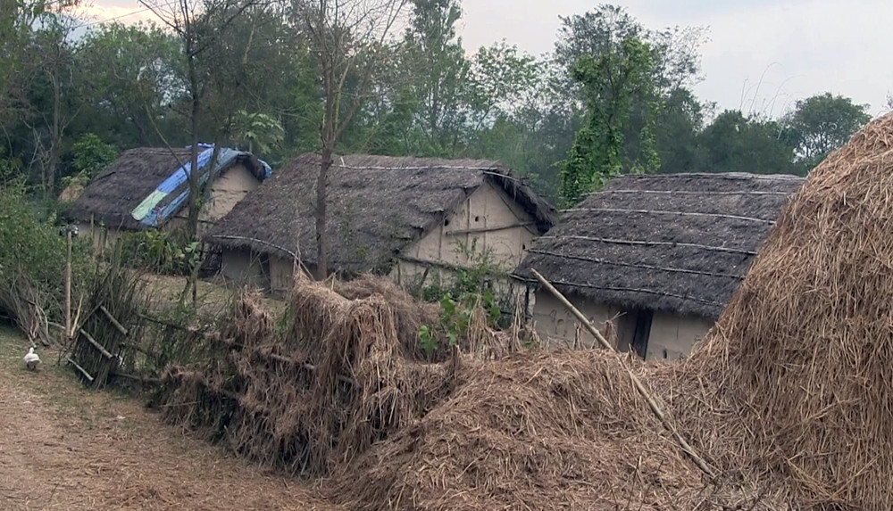 संरक्षण भएन थारु नमूना ग्राम : चुहिने  छानो, मक्किएका भित्ता