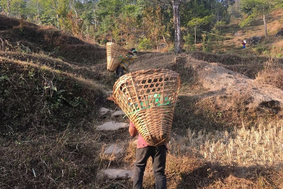 सम्बन्धविच्छेदले बढ्दैछ ‘बालश्रम’