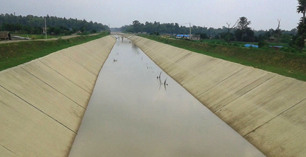 खेतमा सिक्टा सिँचाइ आयोजनाको पानी पुगेपछि किसान हर्षित