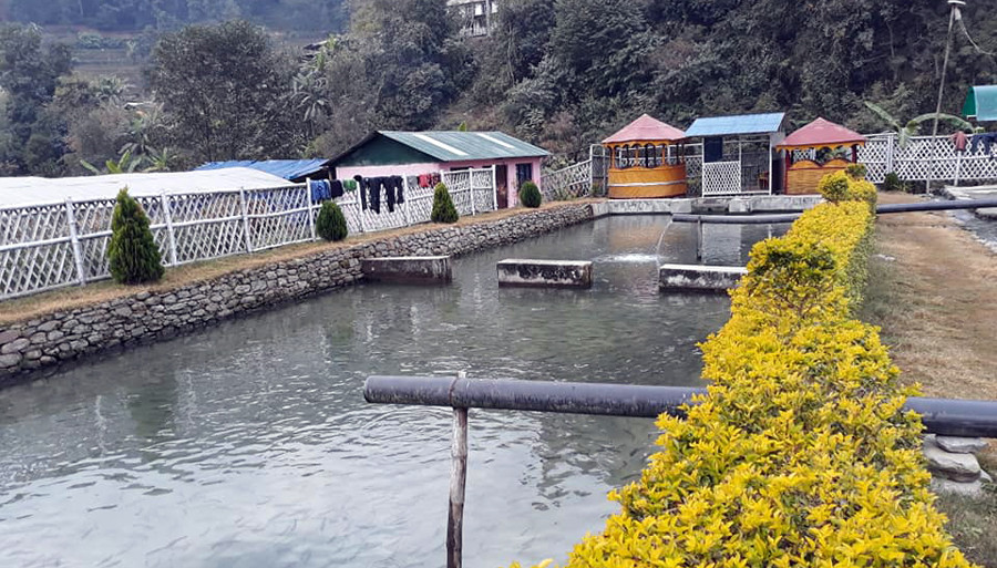 मेलम्ची बाढीले पीडामा परेका हेलम्बुका युवा पुन: ट्राउट माछा व्यवसायमा फर्किन थाले