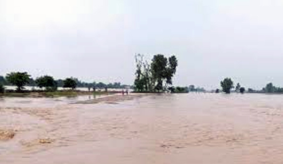 कैलाली बाढीको असर : स्थानीय तरकारी पाउनै मुस्किल