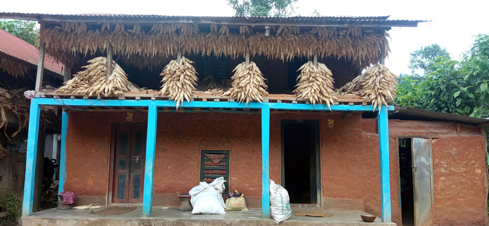 मकै राख्ने काइदा