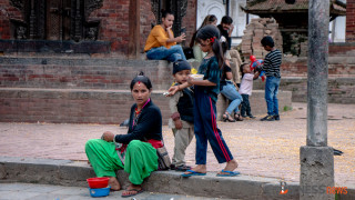 परेवालाई आहार