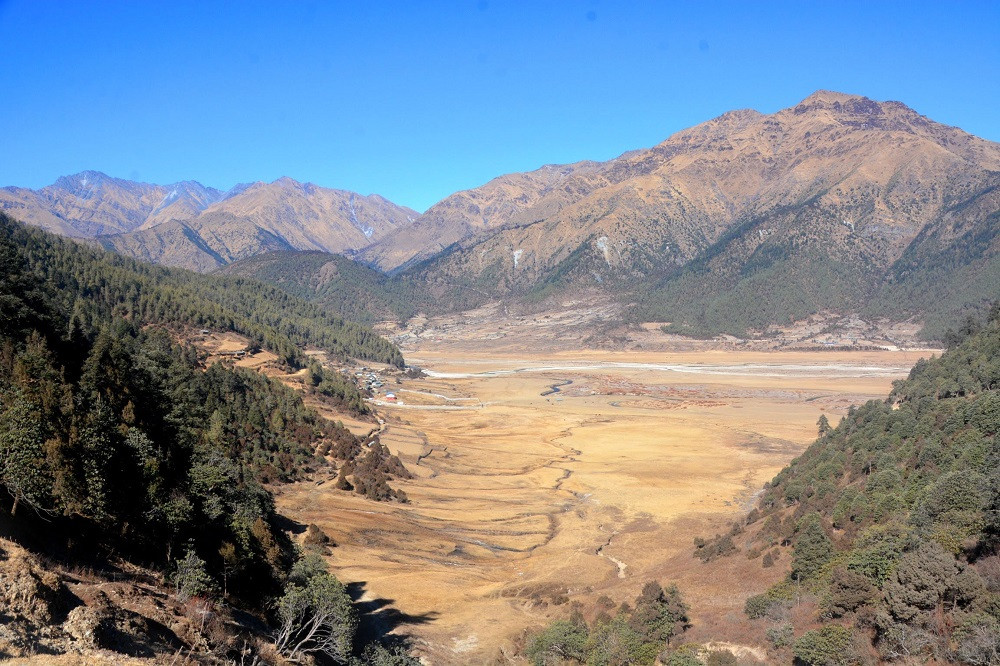 आठ नाउर, चार झारल र आठ बँदेलको सिकार अनुमति