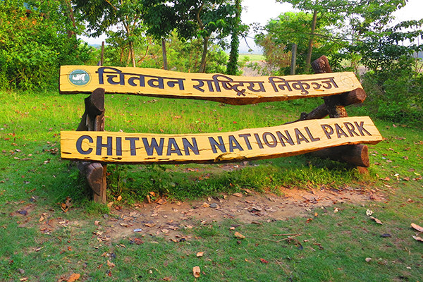 लयमा फर्किँदै सौराहाका पर्यटन व्यवसाय