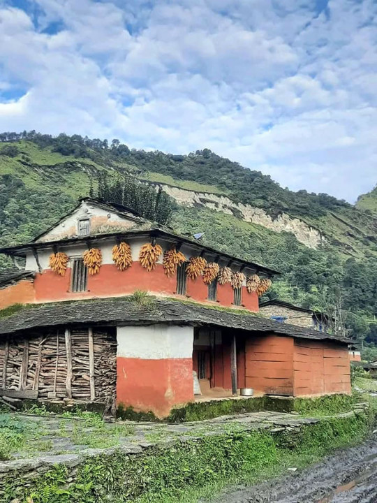 मकै भण्डारणमा परम्परागत शैली