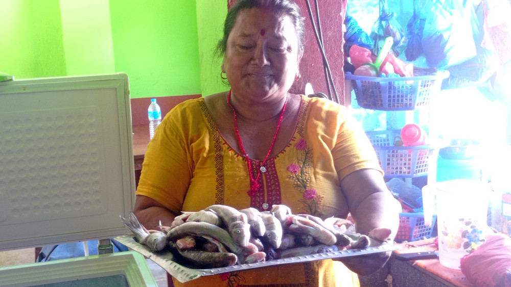 मेलम्ची, इन्द्रावतीमा पाइन थाले माछा