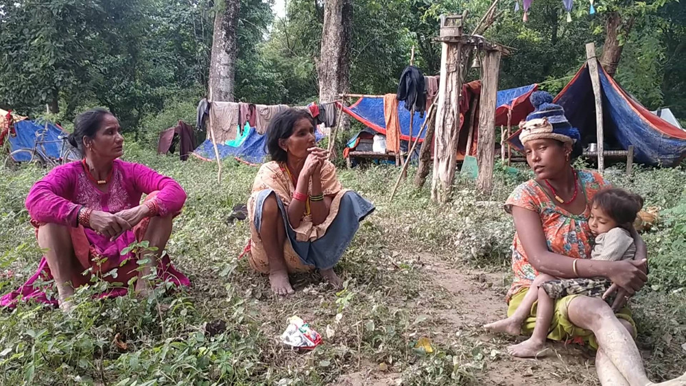 कञ्चनपुर बाढी : बाढी पीडितको अझै जङ्‍गलको बास