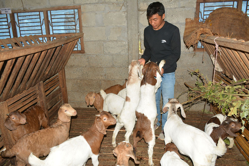 बाख्रापालनबाट मिलेको सन्तुष्टि