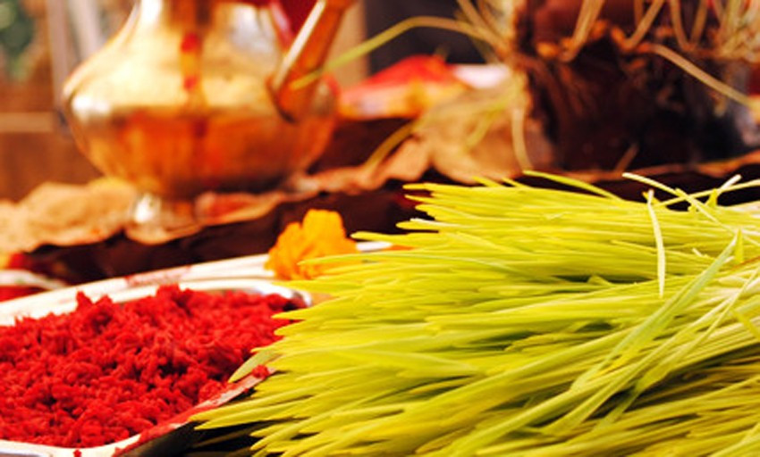 शुभ साइतमा घरघरमा लगाइयो दसैँको टीकाजमरा