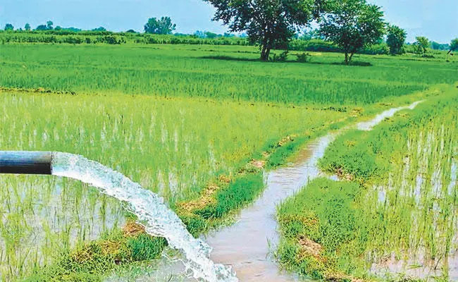 झापामा ८ सय २७ हेक्टरमा सिँचाइ सुविधा विस्तार