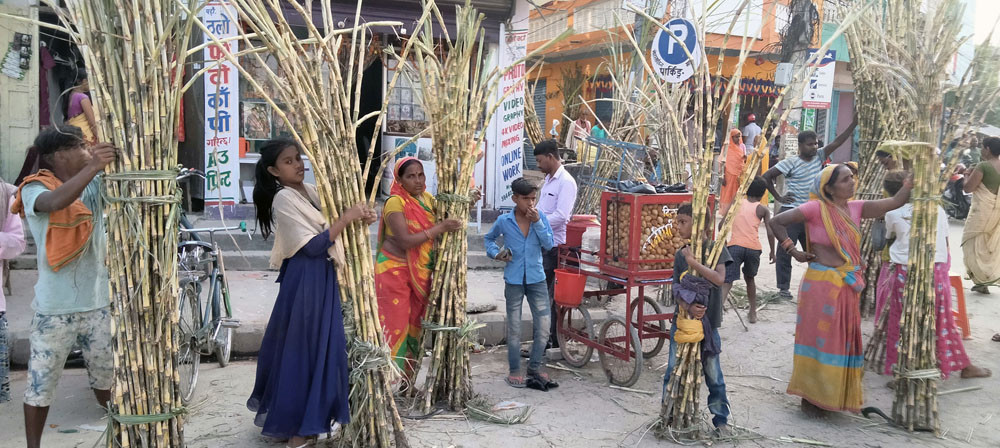 सूर्यको पूजा आराधना गरी छठ मनाइँदै