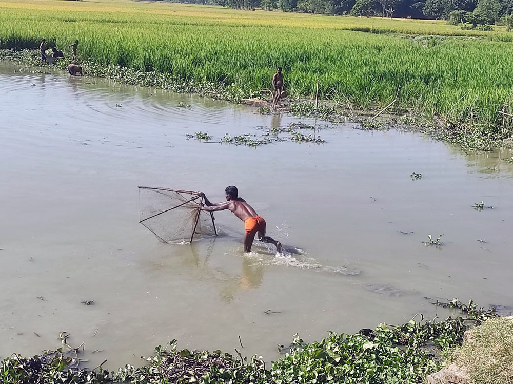 माछा मार्ने काइदा