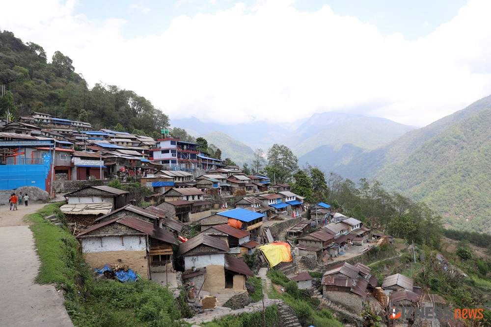 सिक्लेस र घान्द्रुकमा पर्यटकको चाप, जानुअघि जानकारी लिन आग्रह