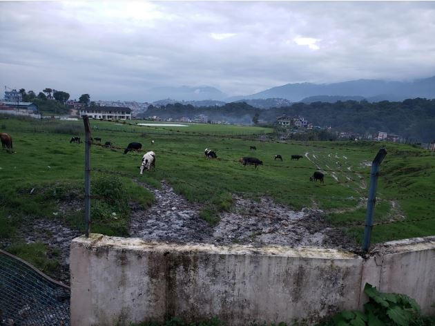 'मुलपानी अन्तर्राष्ट्रिय क्रिकेट एकेडेमी' निर्माणको लागत १ अर्ब २८ करोड