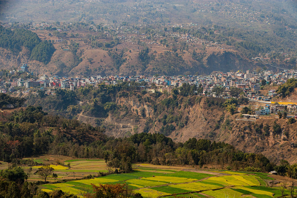 गहुँ, तोरी र कुश्मा बजारसँगै बलेवा 