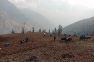 सुक्खा हिउँद र सन्निकट संकट : उत्पादनमा ह्रास आउने खतरा