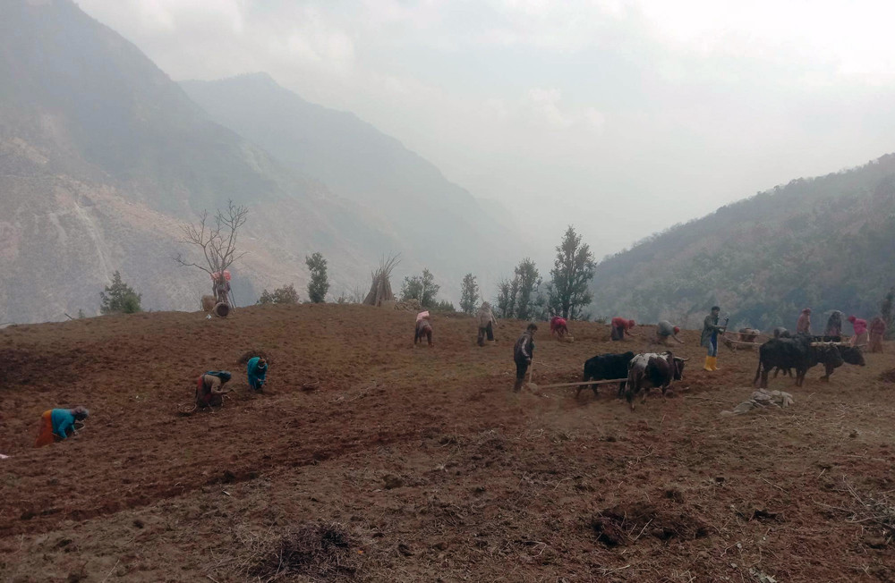 सुक्खा हिउँद र सन्निकट संकट : उत्पादनमा ह्रास आउने खतरा