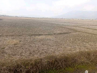 शीतगंगा र गढवामा जग्गा व्यवस्थापनको काम अगाडि बढ्यो