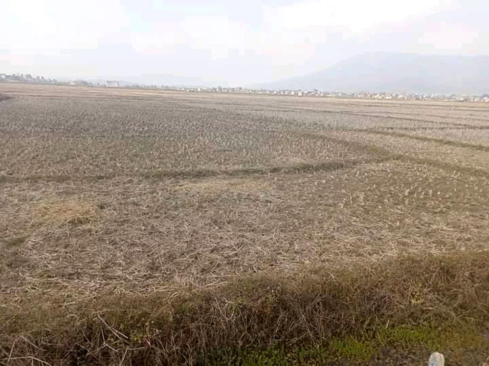कैलालीमा जग्गाधनी पुर्जाका लागि एक लाखभन्दा बढीको निवेदन, प्राविधिक जनशक्ति नहुँदा नापजाँचमा ढिलाइ