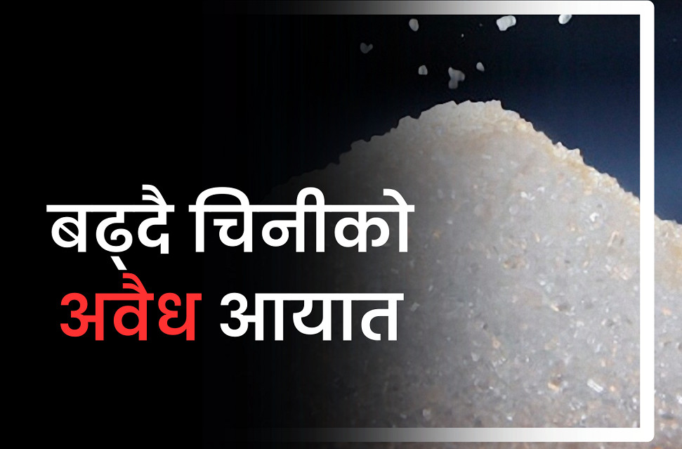 मौलाउँदै चिनीको तस्करी : स्वदेशी उत्पादन गोदाममा, बजारमा छैन अभाव 