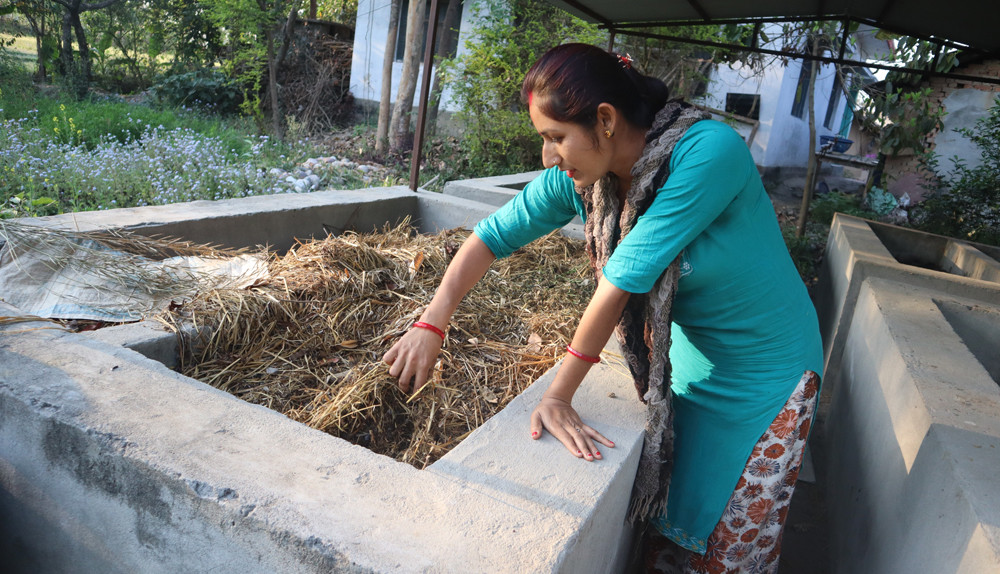 गड्यौलाको मल उत्पादन गरेर राम्रो आम्दानी गर्दैछिन् माया, बजारको माग धान्नै मुस्किल