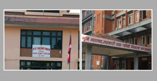 १ सय २७ रोपनी सरकारी जग्गा कब्जा : सरकारले भेटेन आफ्नै निर्णयको कागज, ४ वर्षदेखि मुद्दामा अलमल