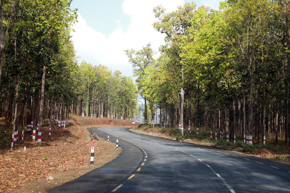 जंगलबीचमा सुन्दर देखियो लोकमार्ग