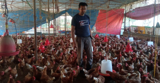 संकट आएको भन्दै पोल्ट्री व्यवयायी भन्छन् - ‘हाम्रा कुरा कसैले सुनेन’