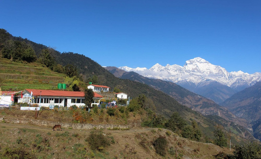 म्याग्दीको पर्यटकीयस्थल टोड्के जोड्ने सडक धमाधम स्तरोन्नति हुँदै, चार करोड रुपैयाँ लाग्ने