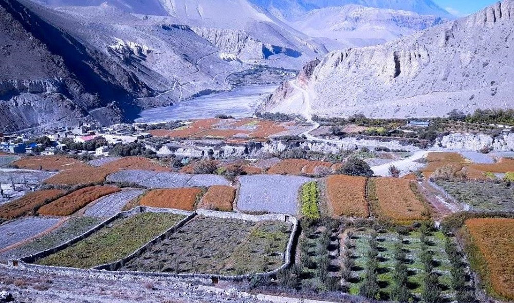 माघ सकिनै लाग्दा न हिउँ न वर्षा, उब्जनी घट्ने चिन्तामा किसान